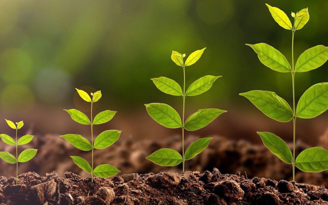 Vestry Notes | April, May, June 2021