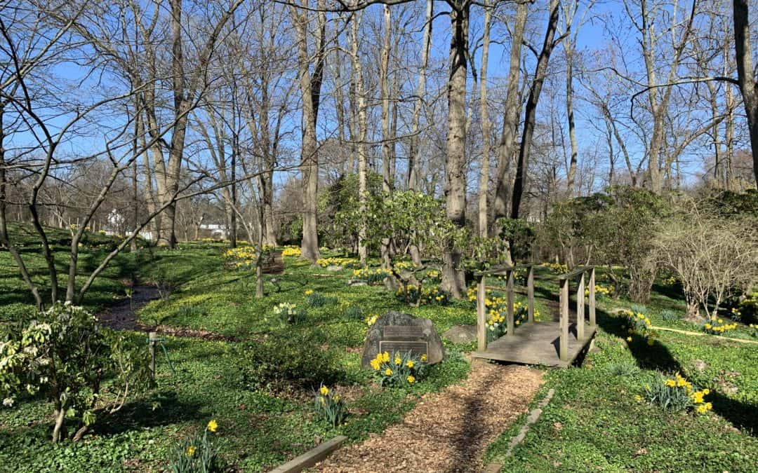 Spring is Welcomed in the Arboretum