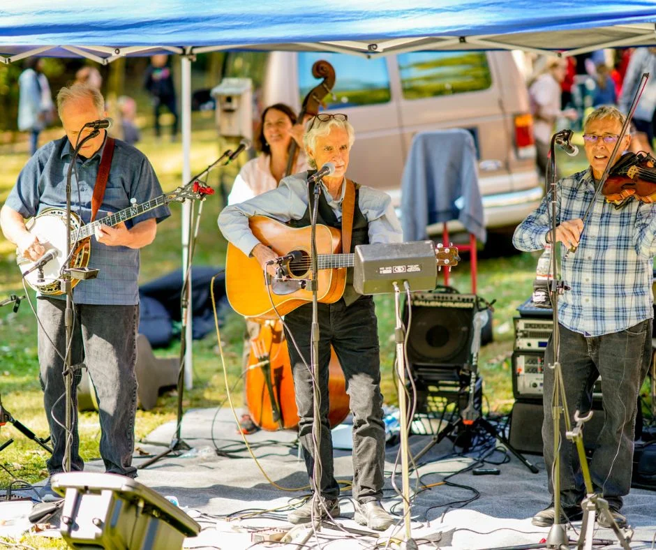 2019_Strings Band_Fair