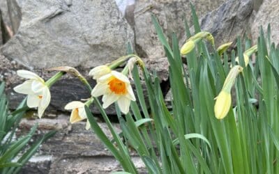 Everything has become new!