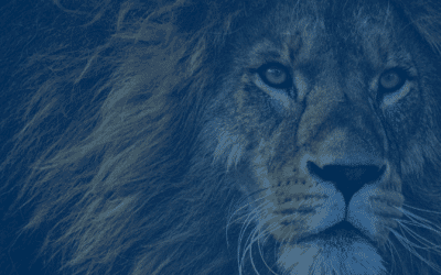 Experiencing Holy Week