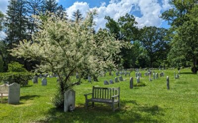Graveyard Update